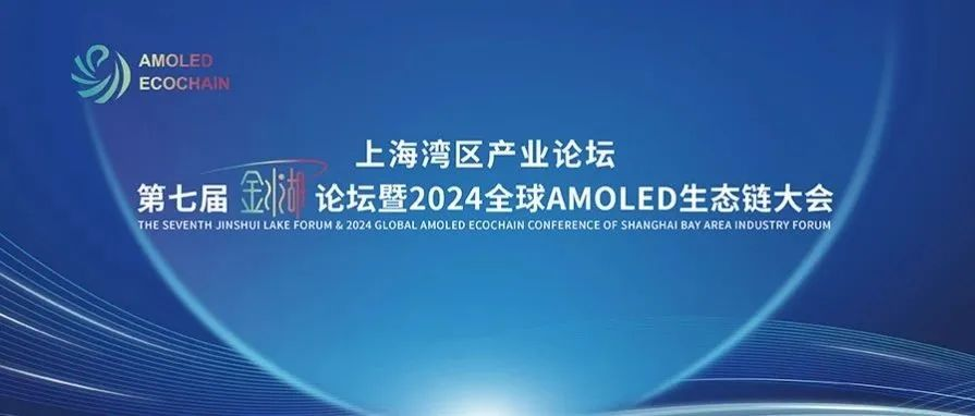 10/25金水湖论坛丨耿怡：中国力量点亮OLED产业发展