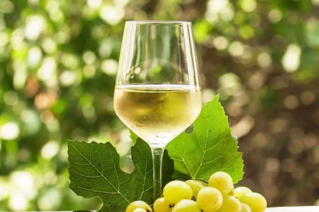 Popular-Types-of-White-Wine.jpg