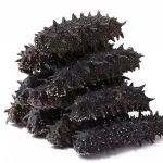 【优质展商】烟台明威海参有限公司——北纬37°明威天然海洋牧场