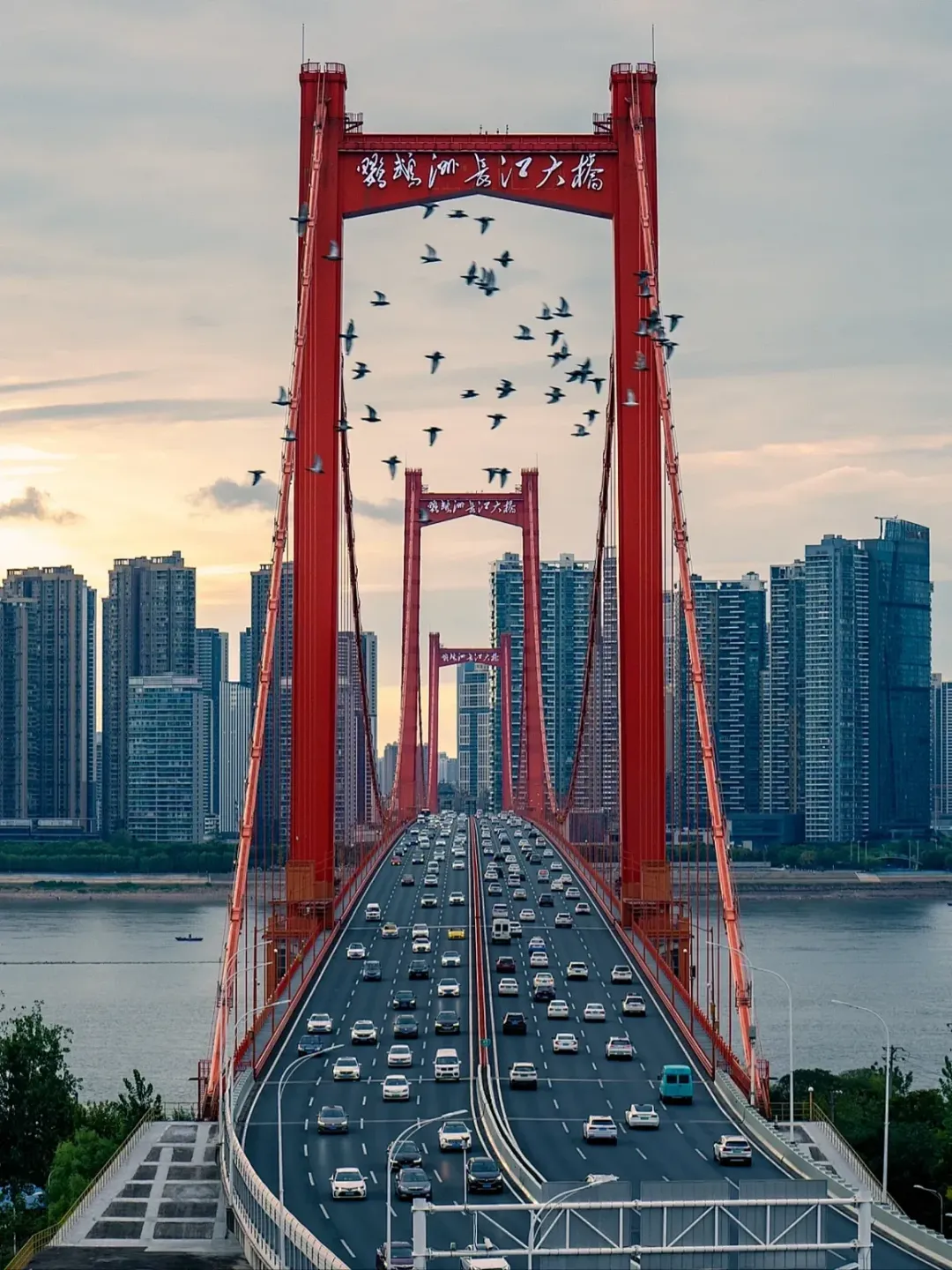 662e7f227c34c90cc8fa3374e3edeb173514076d103e4-g2pAsM_fw1200-(1).jpg