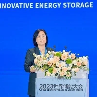 宁德时代总工程师许金梅：打造锂电储能极致安全
