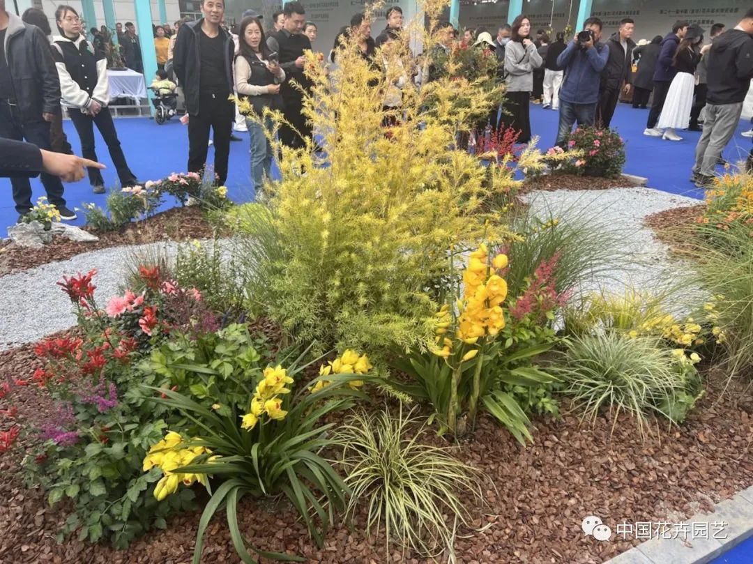 花园植物应用展示