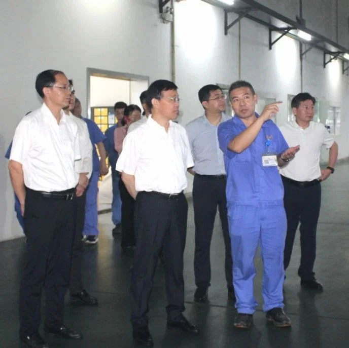 湖北省科技厅厅长冯艳飞调研黄石人本