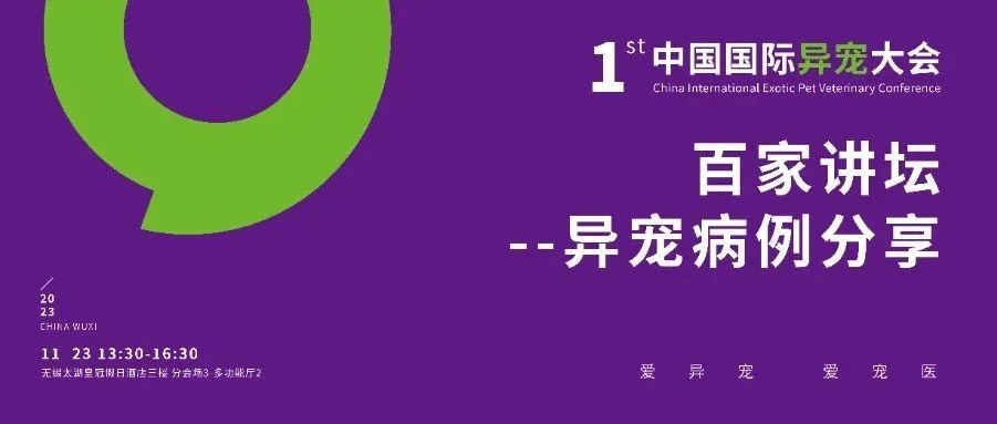 观点激荡，大咖云集！异宠圈的“百家讲坛”见证医术爆发式成长！
