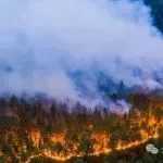 张国清在全国防汛抗旱工作视频会议上强调 扎实做好防汛抗旱工作 确保人民生命财产安全