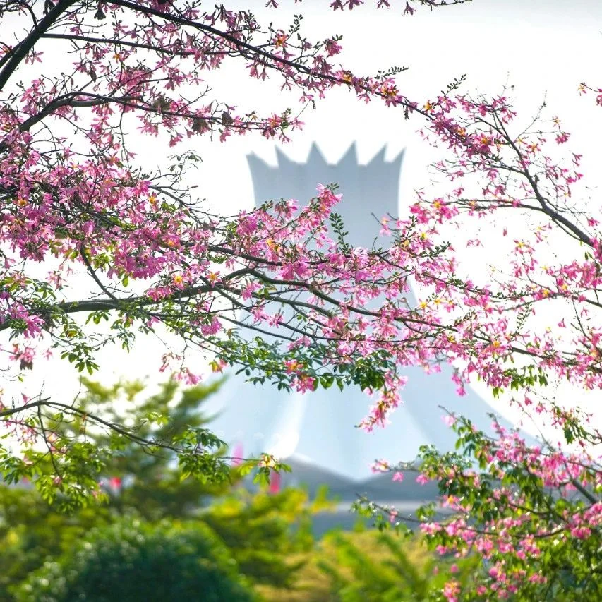 最高奖金6万！东博会呼唤才华横溢的你！