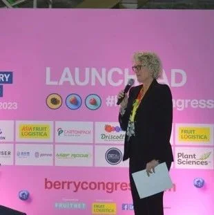 12月1日市场资讯：全球浆果大会：人们对新品种的需求不断增大；多米尼加共和国凤梨收获因热带风暴而推迟