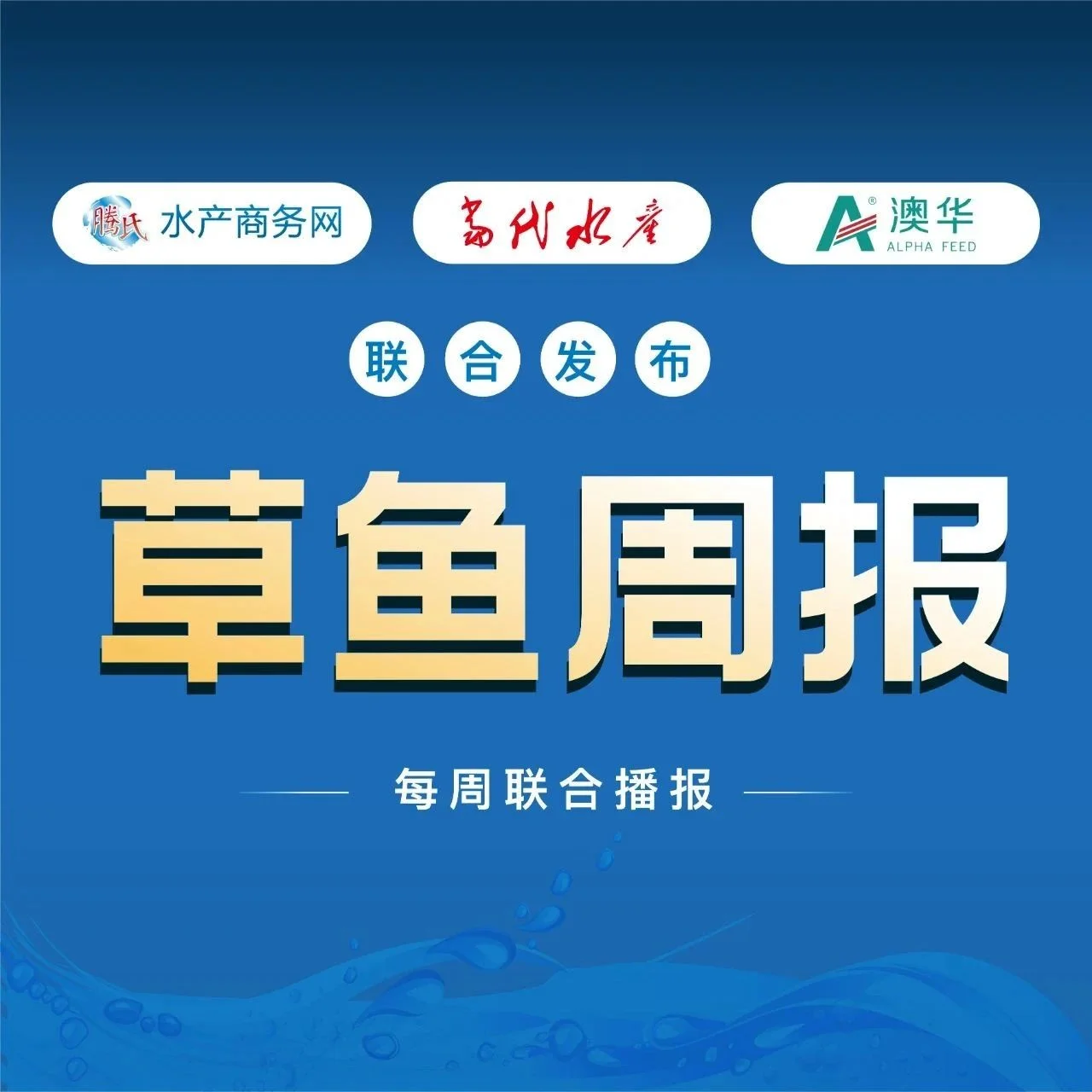顺德鱼生节带动，广东草鱼持续走俏，4平5斤鱼价直逼7元/斤 | 澳华联合播报