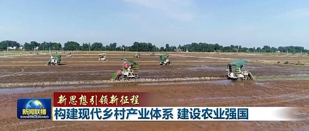 焦点话题 | 农业农村部将组织实施乡村重点产业提升行动