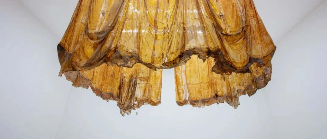 皮囊之上：海蒂·布赫在中国首次大型回顾开幕