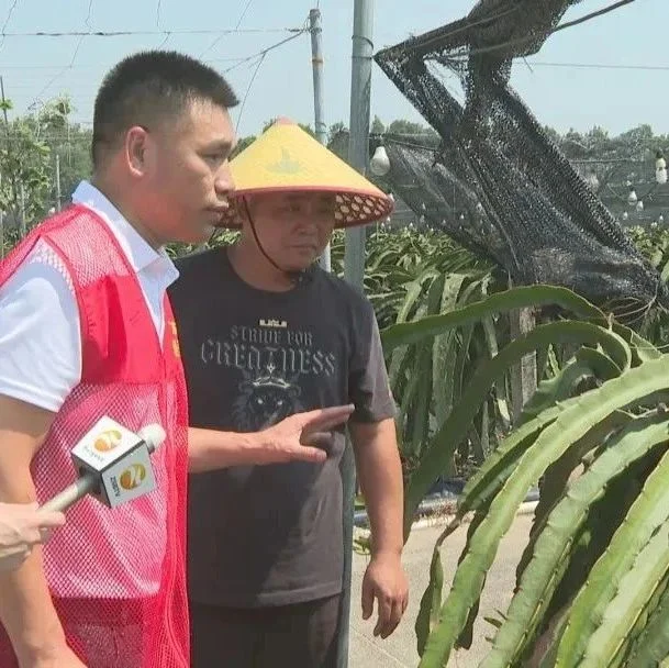 农技轻骑兵⑮｜围绕产业需求创建服务分队，推动中山农业绿色生态高效发展