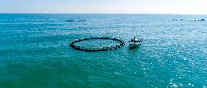 广东省委农办、省农业农村厅发布17条措施 促进现代化海洋牧场高质量发展