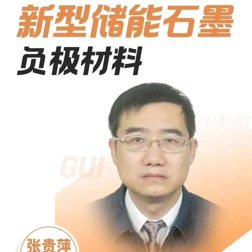 【会议报告】新型储能石墨负极材料