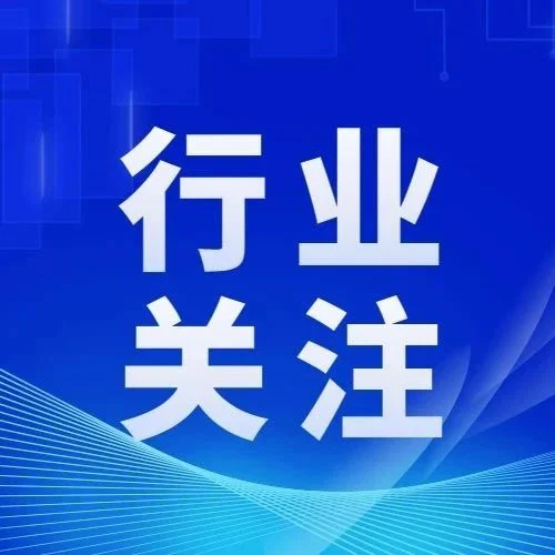 比Nappa更豪华，行业占比不超10%，Savannah半苯胺真皮座椅解析