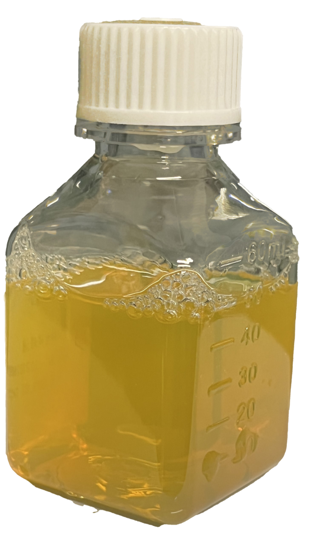 凝血分析仪怎么使用CACLP·CISCE 2024新品预告（四）贝克曼库尔特、徕卡、赛沛、雷度米特、埃德特、太阳、蓝怡、复星、翌圣、百林科、品峰等_https://www.jmylbn.com_新闻资讯_第22张