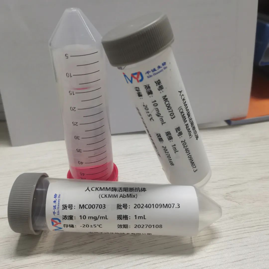 什么牌子生化仪试剂好CACLP·CISCE 2024新品预告（八）热景、丹大、鲲鹏、宝日医、卓诚惠生、千诚、北纳、库尔、层浪、利德曼、普迈德等_https://www.jmylbn.com_新闻资讯_第18张