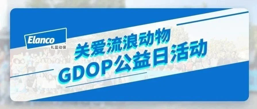 双城联动，礼蓝动保“关爱流浪动物·GDOP公益日活动”圆满成功
