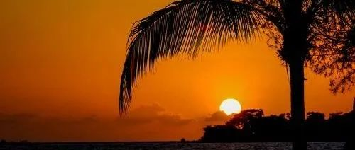 中越酒业交流新动向！科通展览携手越南驻广州总领事馆商务处共探合作机遇