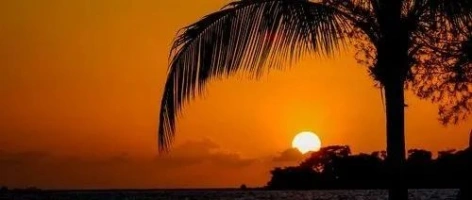 中越酒业交流新动向！科通展览携手越南驻广州总领事馆商务处共探合作机遇