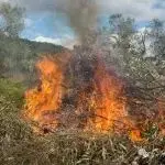天津統一戰線踴躍支援香港火災救援 展現血濃于水同胞情