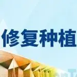 找产品寻合作，来10月上海口腔展！ | 修复材料和种植产品合辑-第三期