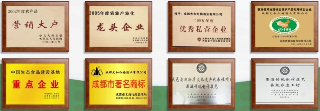 成都大和红梅酒业有限公司.pptx新_04c.jpg